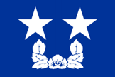 Flag rank example
