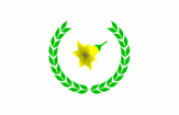 [flag from the novel Nostromo]