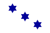 [ambassadorial flag example]