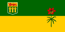 sub-national flag