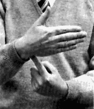 hand gesture for Ameslan ''flag''