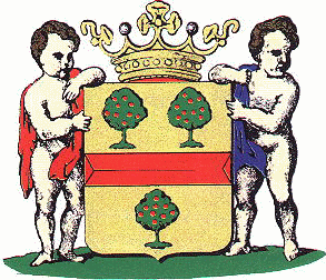 's-Gravendeel Coat of Arms