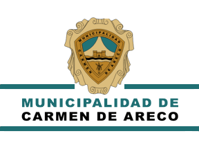 [Flag of Carmen de Areco Municipal Government]