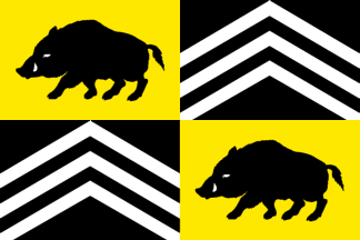 [Flag of Vorselaar]