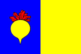 [Flag of Sint-Niklaas]