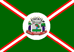[Flag of Caarapó, 