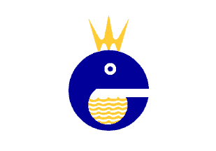 Flag of Clube Naval, Brasilia (Brazil)