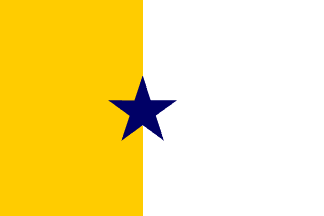 House Flag of Raimundo Vieira Lima (Brazil)