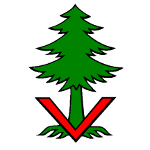 [Flag of Vordemwald]