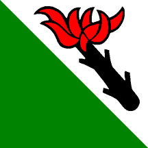 [Flag of Belpberg]