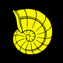 [Flag of Bronschhofen]
