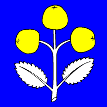 [Flag of Schattdorf]