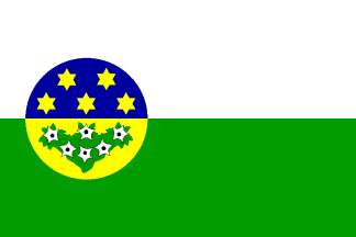[Slatina municipality flag]
