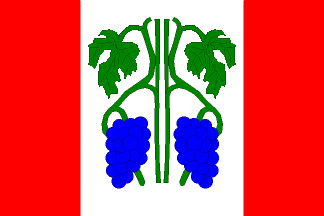 [Chuchelná municipality flag]