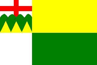 [Karlovice flag]
