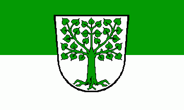 [Lindau (Bodensee) city flag w/ CoA old]