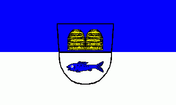 [Binau municipal flag]