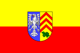 [Thaleischweiler-Fröschen flag]