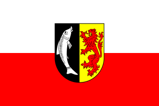 [Waldfischbach-Burgalben municipal flag]
