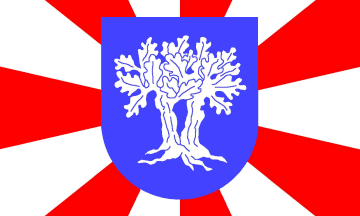 [Amt Hohenweststedt-Land flag]