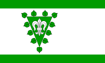 [Wiershop municipal flag]