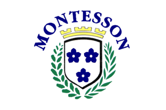 [Flag of Montesson]