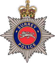 [Surrey County Logo #3]