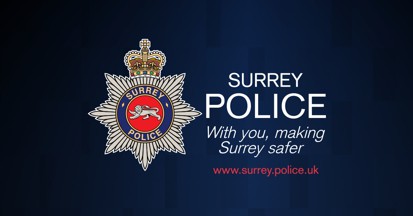 [Surrey County Logo #2]