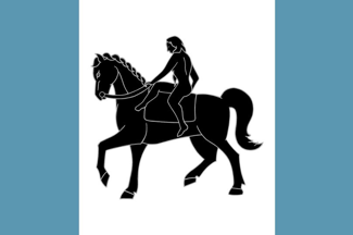 [Flag of Coventry]