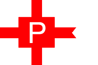 [Petersen & Co., Ltd houseflag]