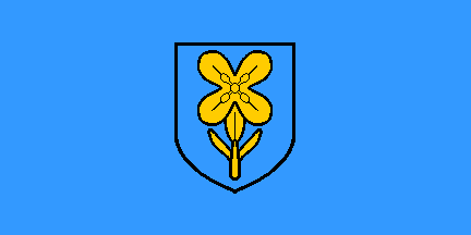 [Proposed flag of the County]
