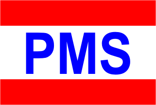 [P.T. Pilindo Megah Selatan "PMS" (Pacific International Lines)]