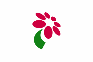 [flag of Minamiboso]
