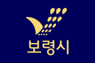 [Blue variant of Boryeong Indoor flag]