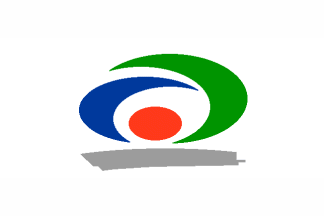 [Cheonan flag variant]