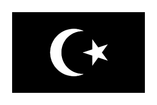[Muhammad Said ben Ali el Senussi flag, seen on postage stamp]