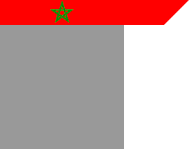 flag design template
