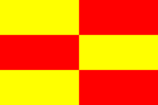 [flag of Briceni]