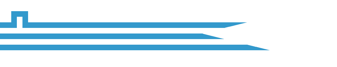 [Special flag of Podgorica]