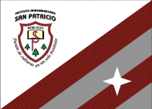[Colegio San Patricio flag]