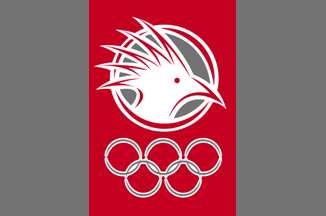 [Sports flag, 2007]