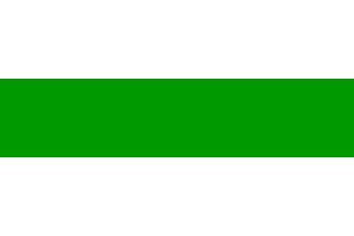 [Municipality flag of Groningen]