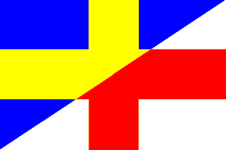 [Municipality flag of Oldenzaal]