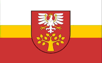 [Limanowa county official flag]