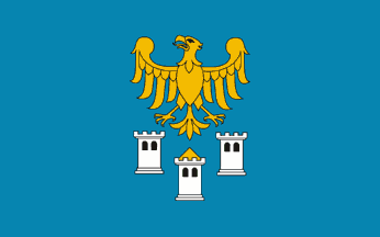 [new Gliwice county flag]