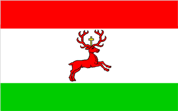 [Wyrzysk variant flag]