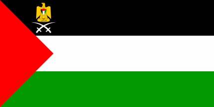 [State Flag Variant 3 (Palestine)]