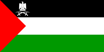 [State Flag Variant 1 (Palestine)]