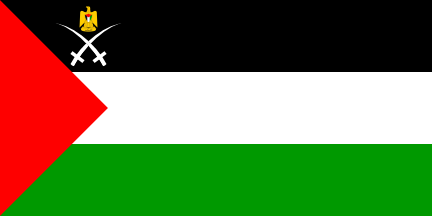 [State Flag Variant 4 (Palestine)]