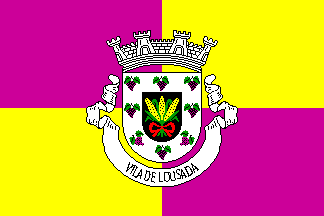 [Vila Nova de Paiva, Alhais e Fráguas united commune flag]